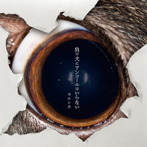 逍遥绳艺李然在线视频
