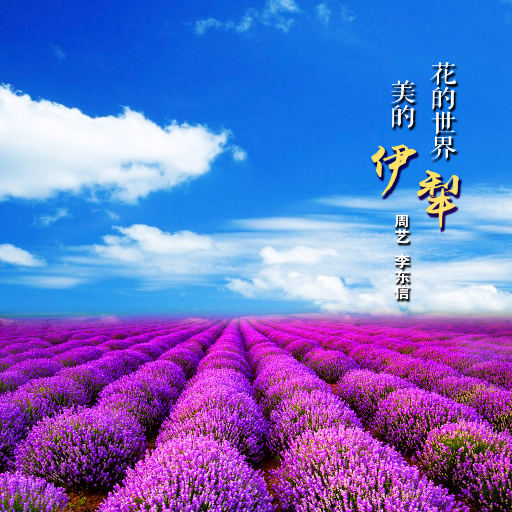 逍遥绳艺李然在线视频
